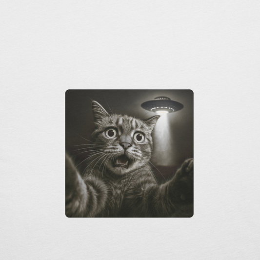 Cat Alien Abduction