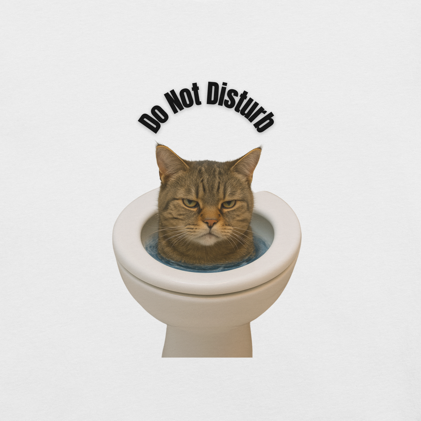 Do Not Disturb (Flush Mode)