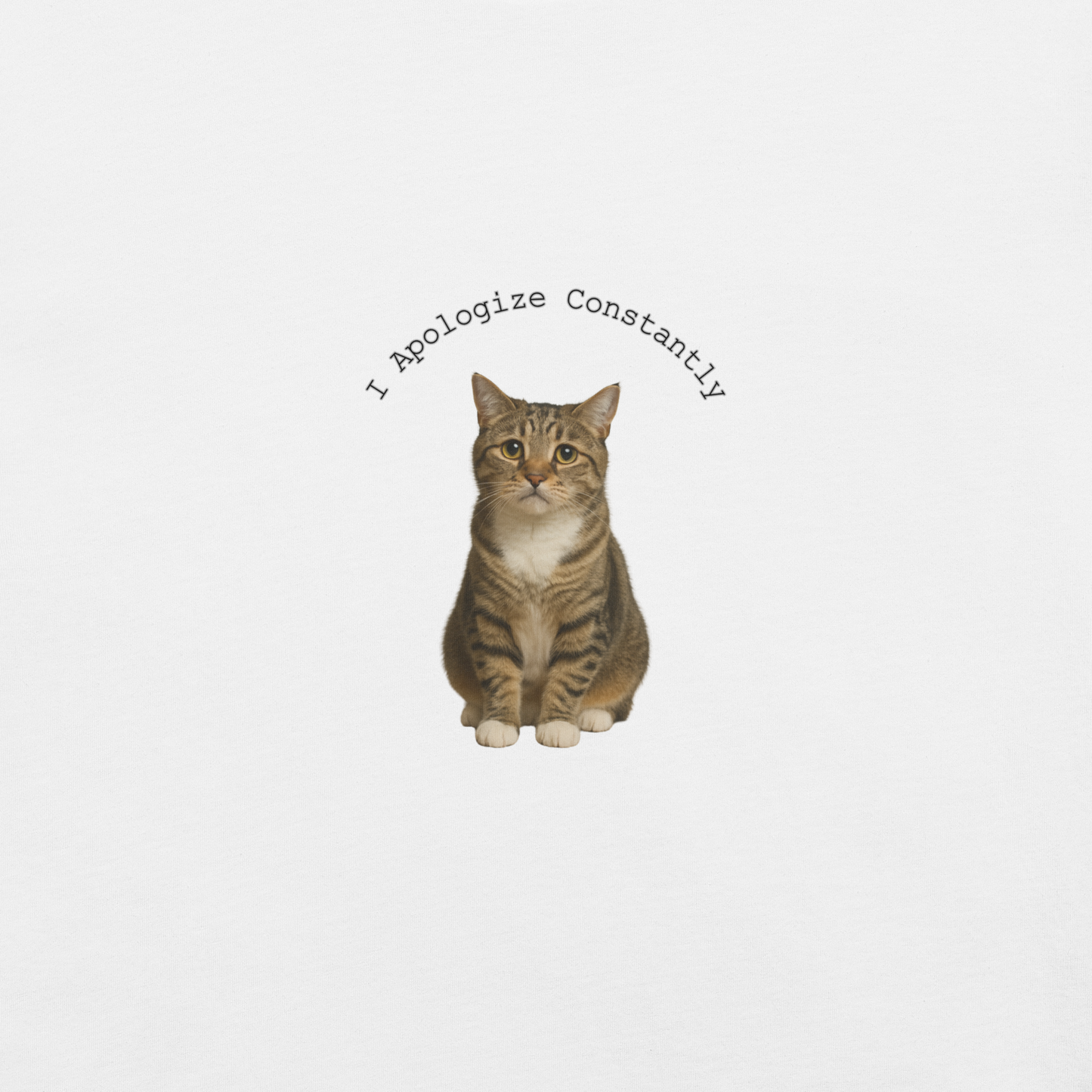 I Apologize Constantly