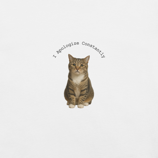 I Apologize Constantly